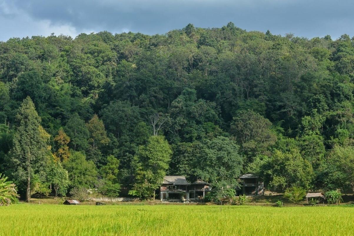 467 Chiang Dao Hostel Екстериор снимка